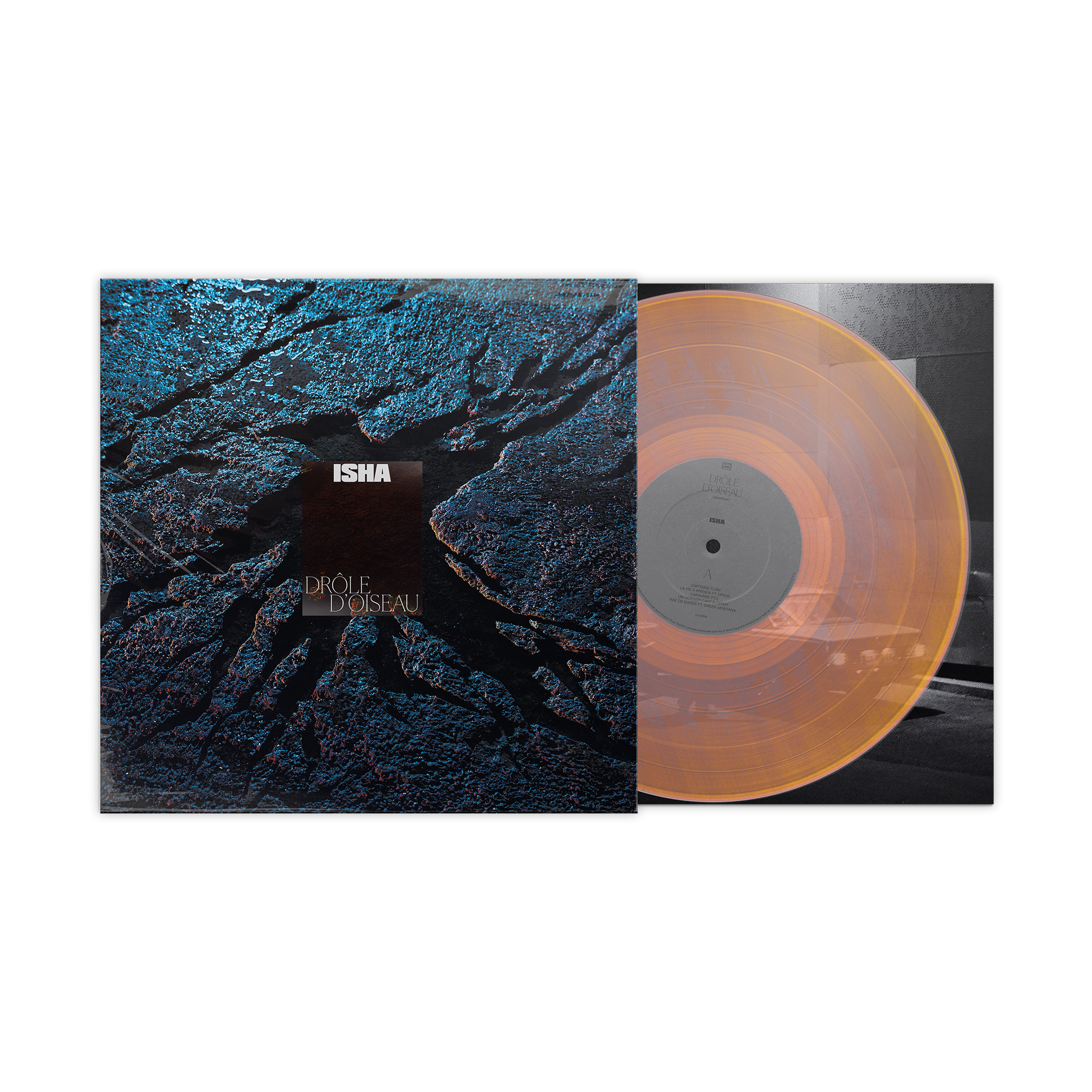 CD + vinyle + t-shirt + poster dédicacé “Drôle d'oiseau“