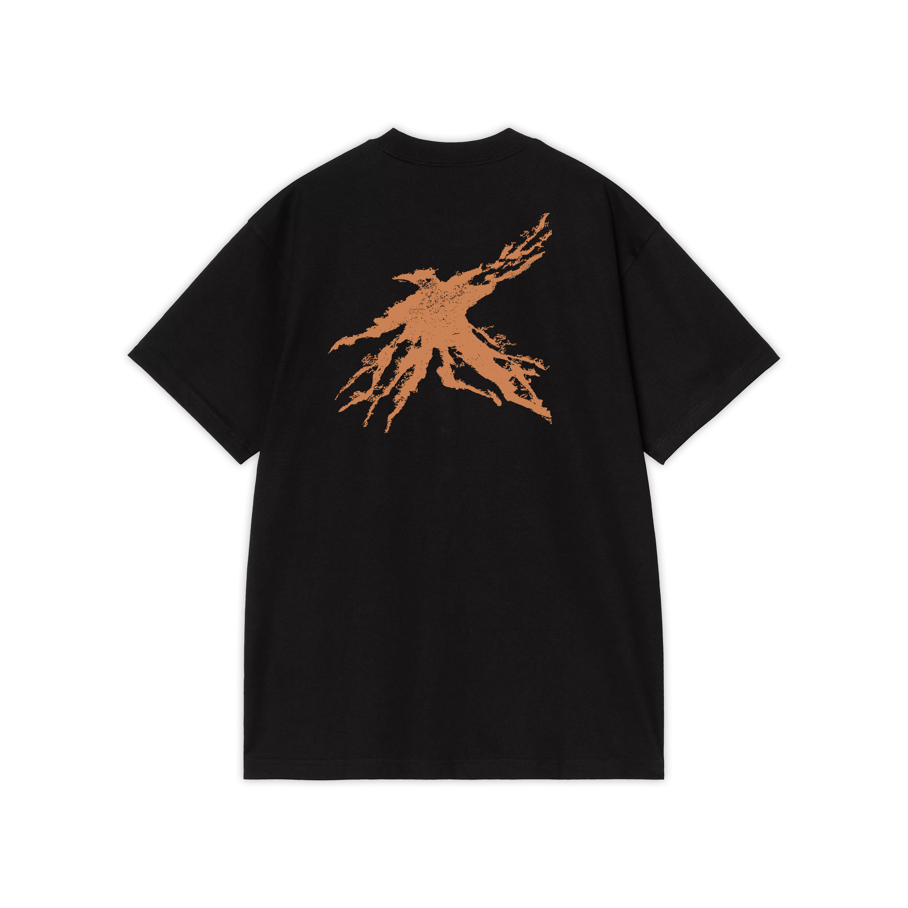 CD + vinyle + t-shirt + poster dédicacé “Drôle d'oiseau“