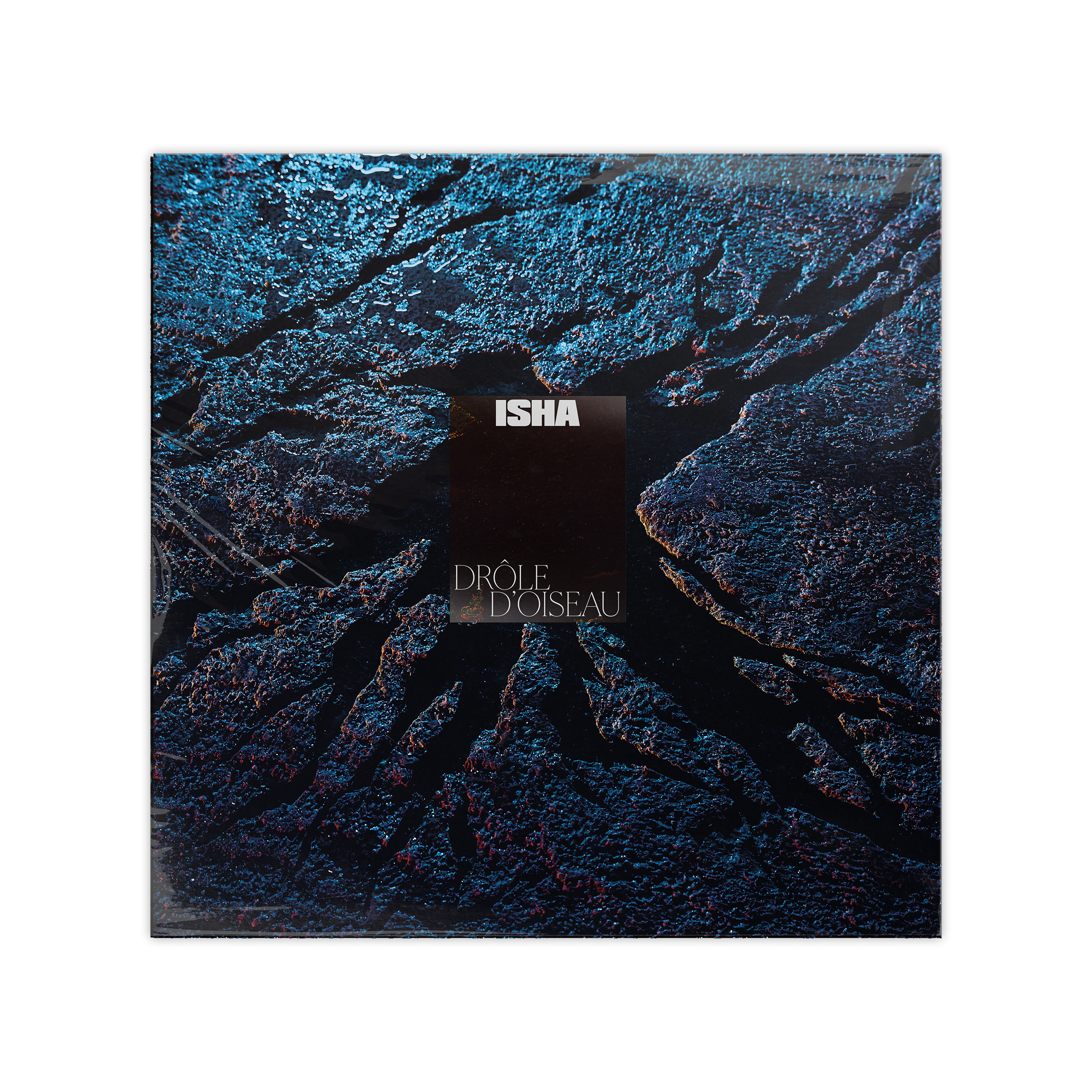 CD + vinyle + t-shirt + poster dédicacé “Drôle d'oiseau“
