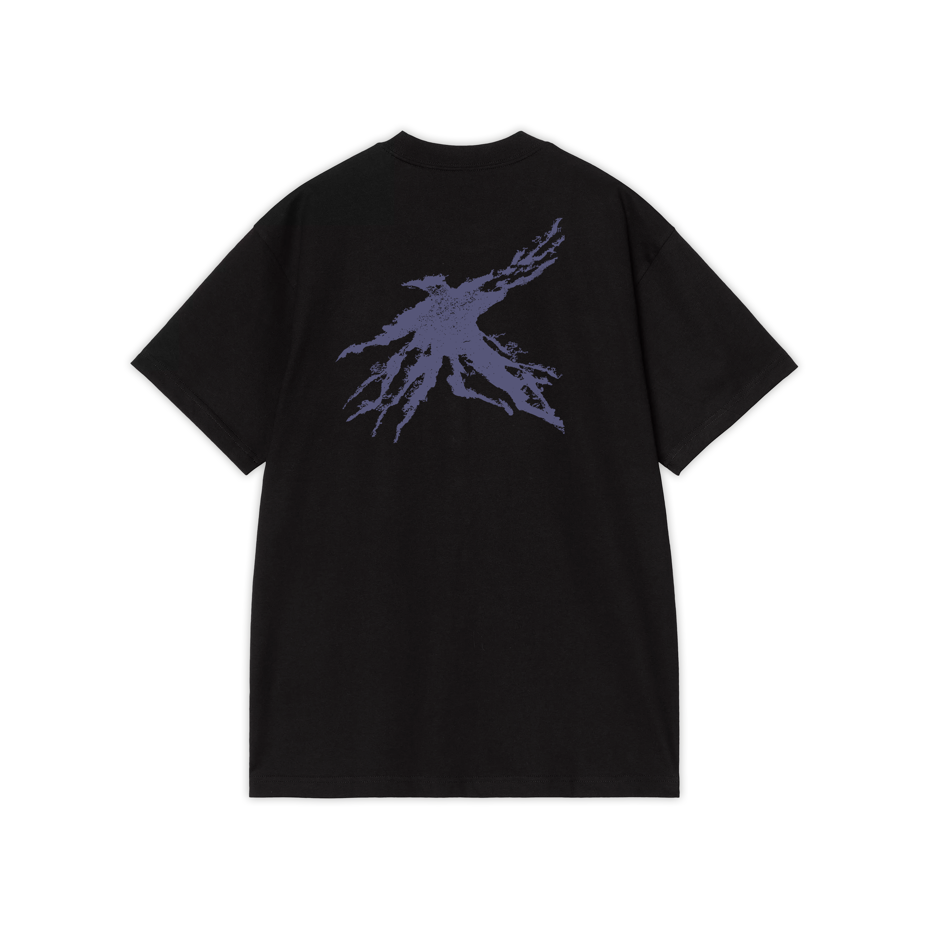 CD + vinyle + t-shirt + poster dédicacé “Drôle d'oiseau“